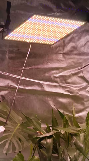 LED Vollspektrum 40W für ihre indoor Pflanze